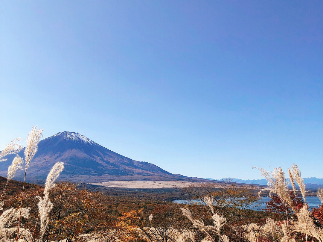 Mikuni Toge Observatory景点图片