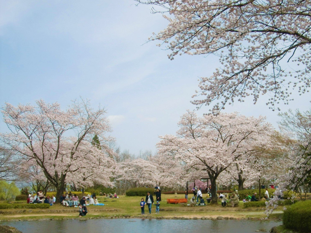 Azuma Sports Park-福岛市必去景点