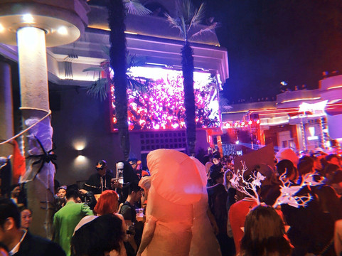 Found 158-上海市必去景点