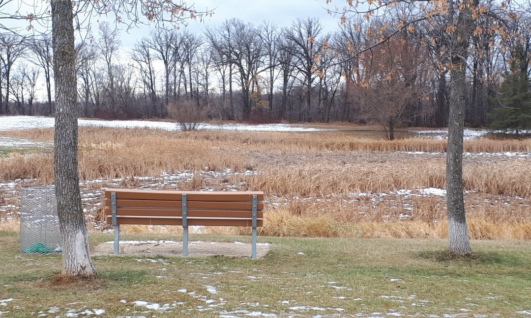 Kings Park-温尼伯必去景点