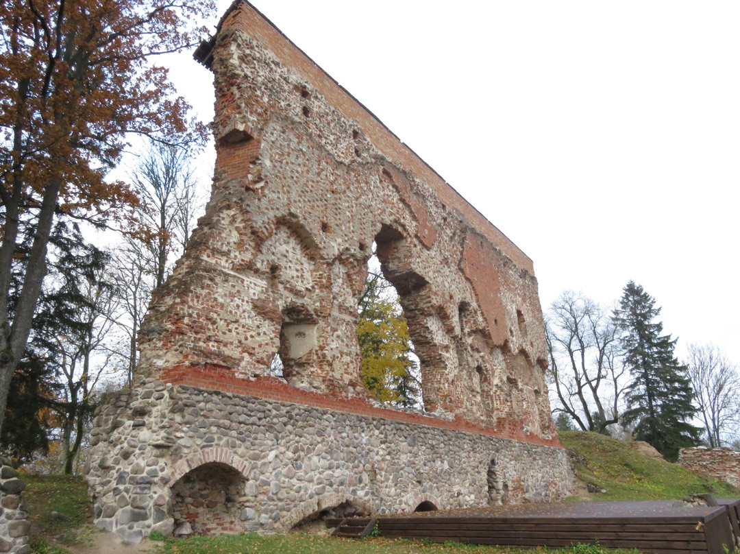 Ruins of the Viljandi Order Castle景点图片