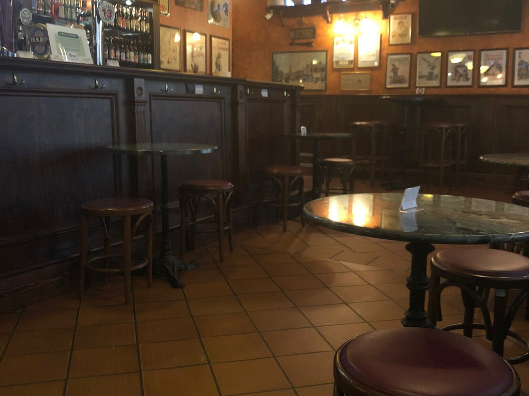 Irish Pub Celtic Druid-博洛尼亚必去景点