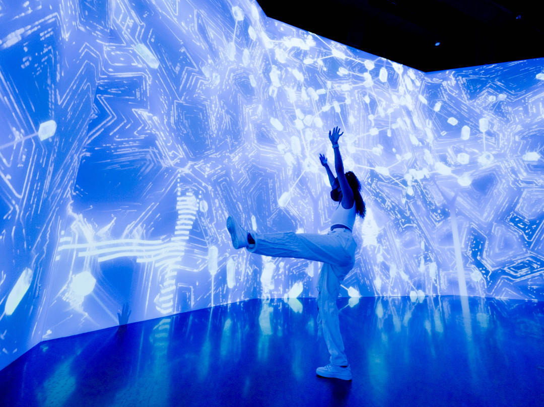 Artechouse DC-华盛顿特区必去景点