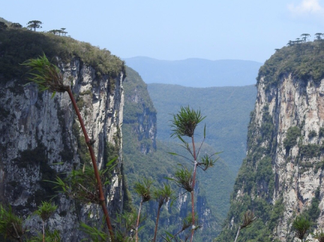 Parque Nacional de Aparados da Serra-Cambará do Sul必去景点