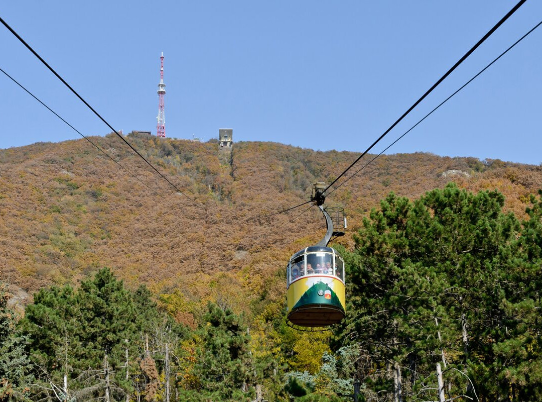 Cable Car景点图片