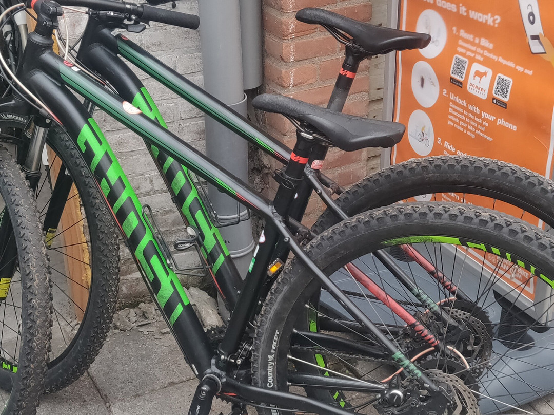 Rent-a-Bike Van Dam-诺德韦克豪特必去景点