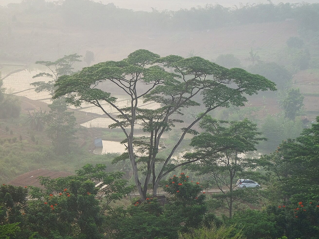 Harper Purwakarta主图