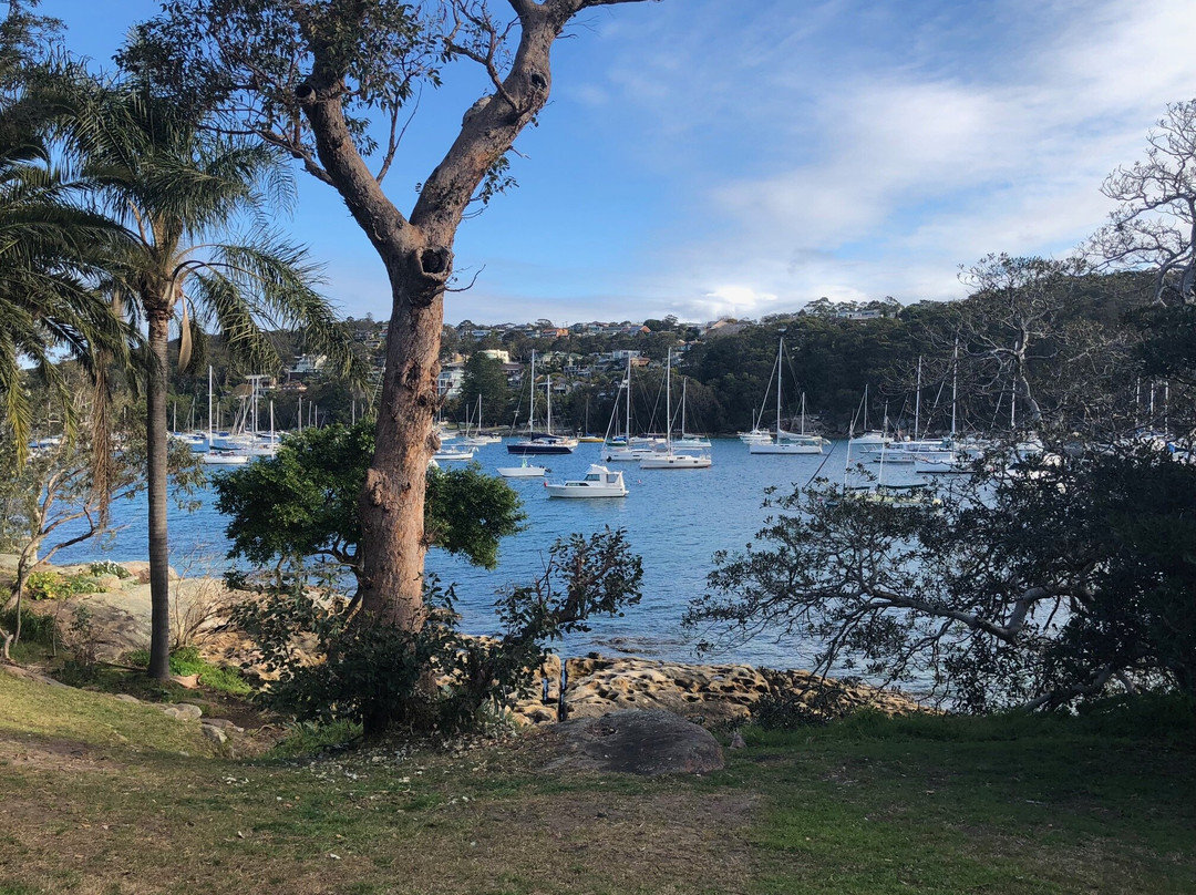 Fairlight Beach景点图片