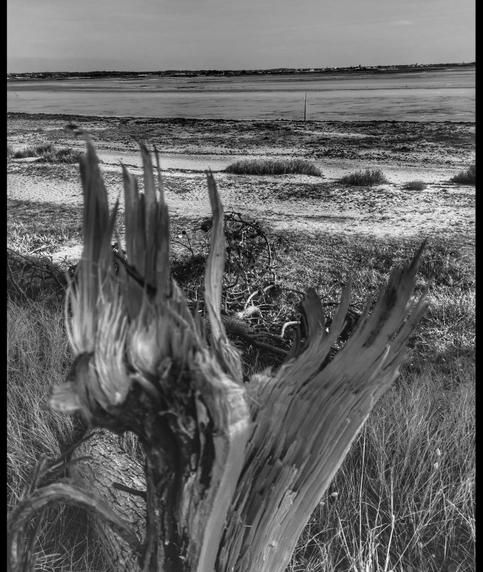 Presqu'ile de Pen Bron-La Turballe必去景点