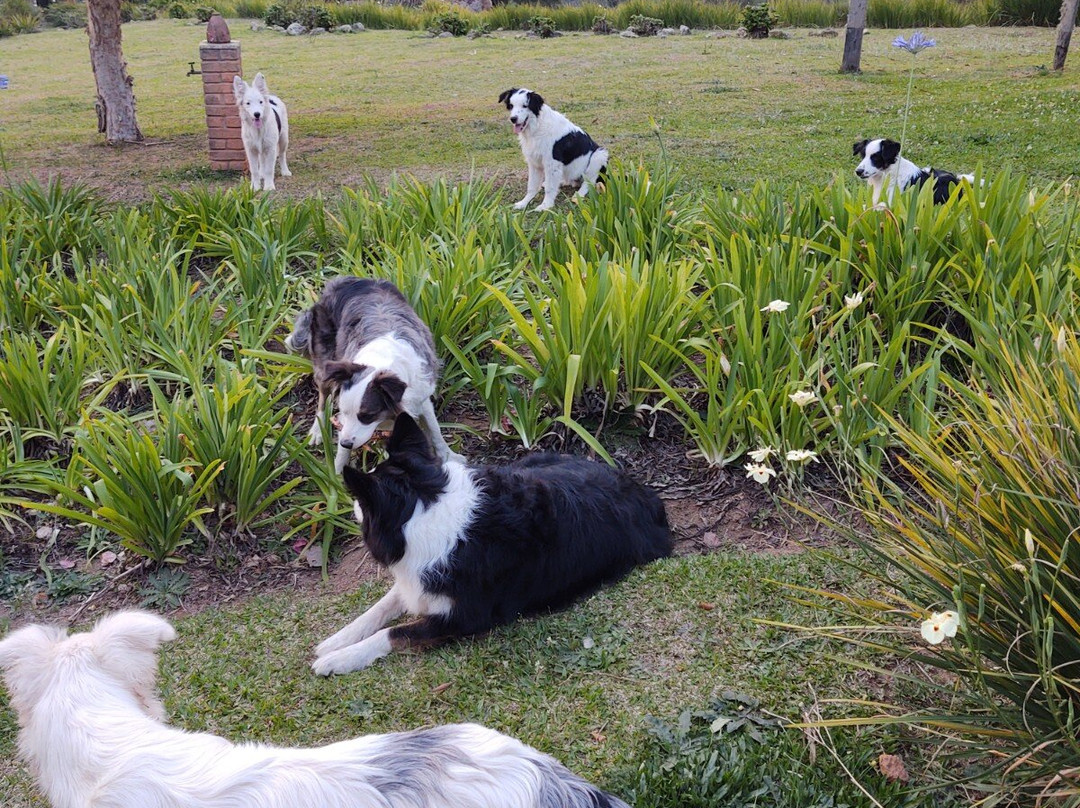 Pousada Pinho Bravo主图