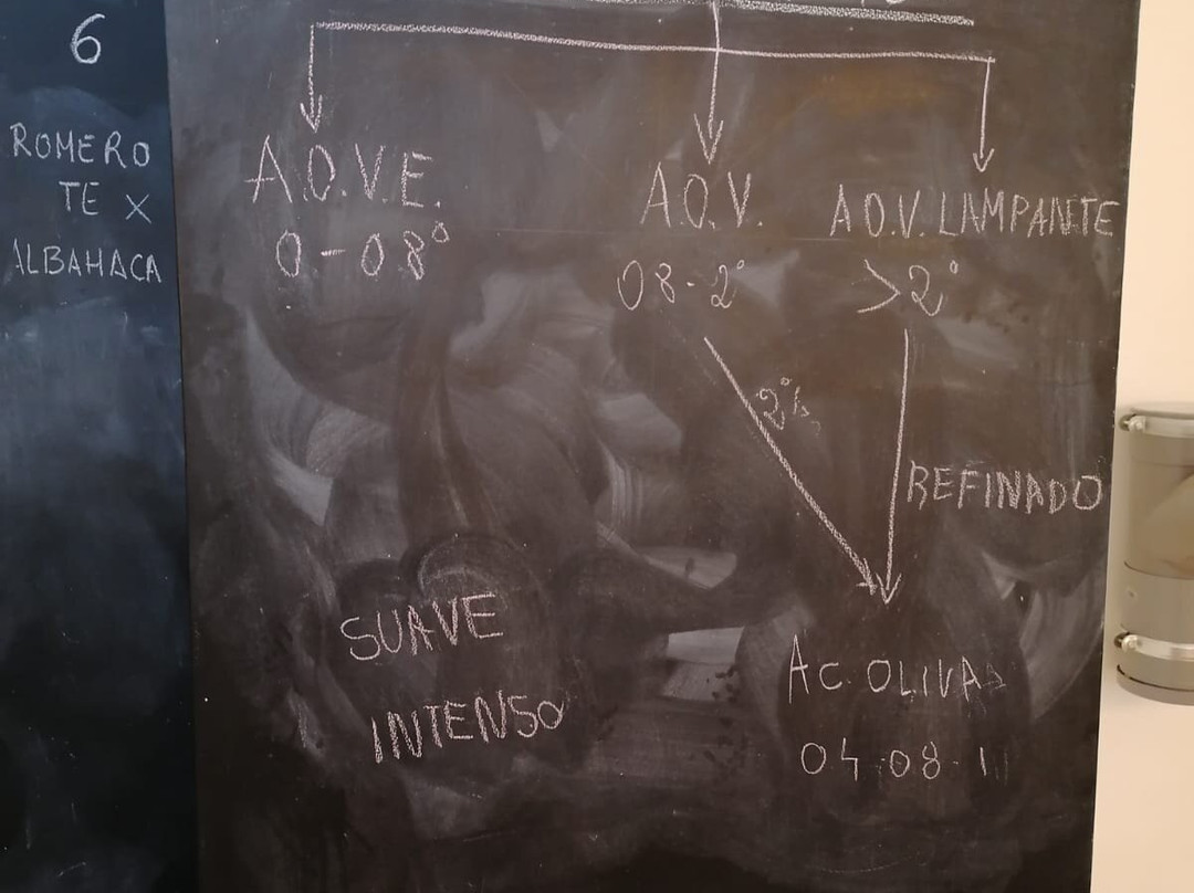 La Belluga Museo del Aceite-Segorbe必去景点