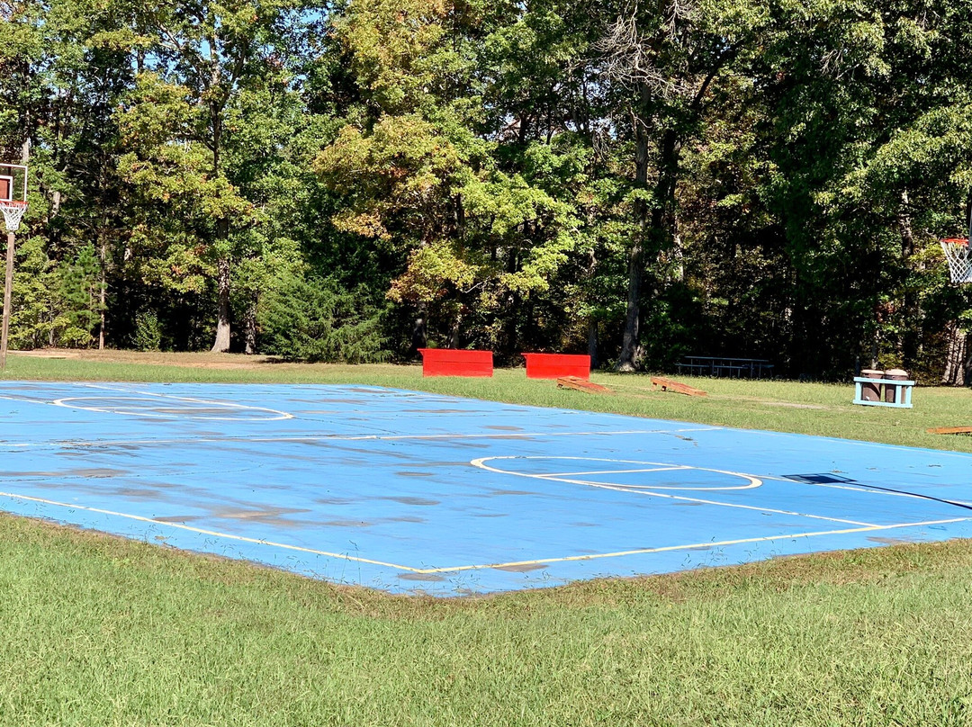 Gladys旅游攻略图片