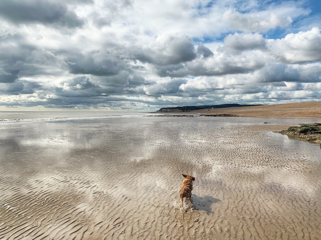Winchelsea Beach景点图片