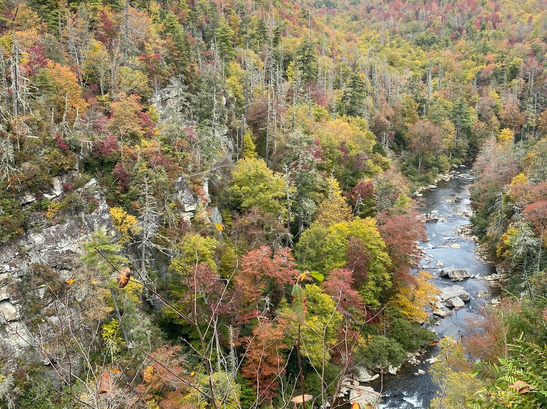 Linville Gorge-Linville Falls必去景点