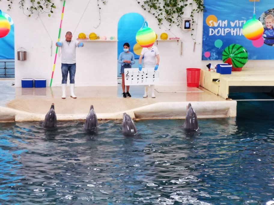 Dolphinarium-瓦尔纳必去景点