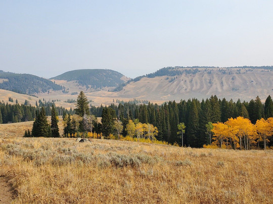 Yellowstone Rough Riders-西黄石镇必去景点