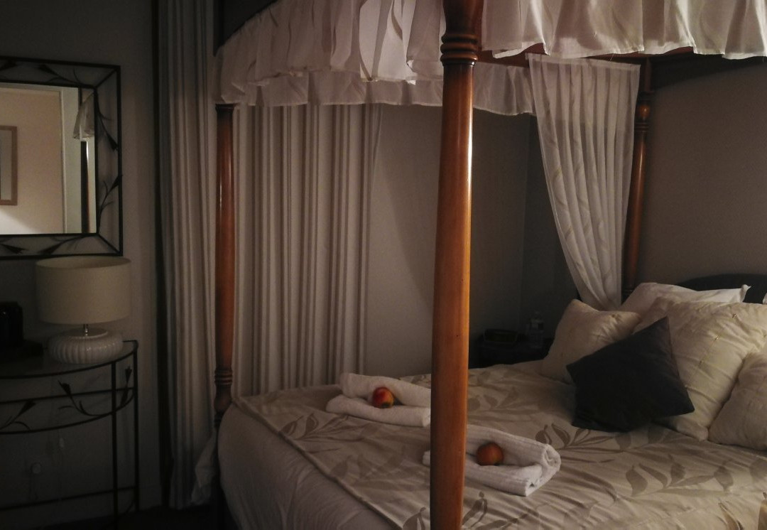 Logis Hôtel du Dauphin主图