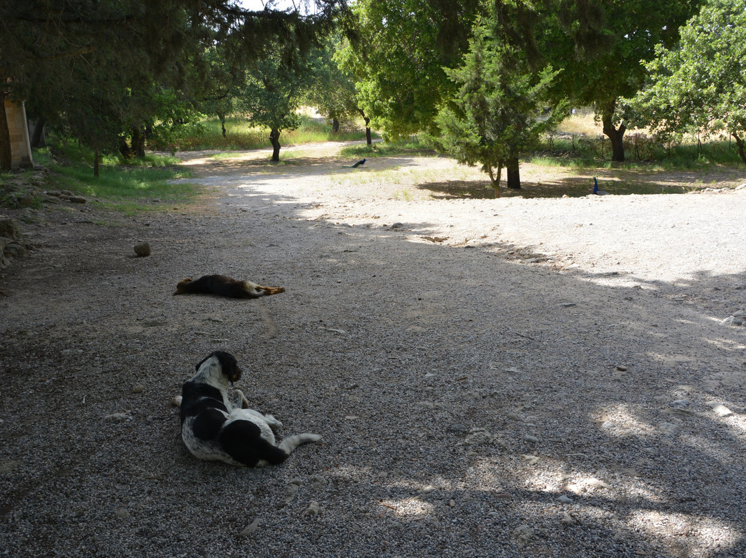 Filerimos Cross-Filerimos必去景点