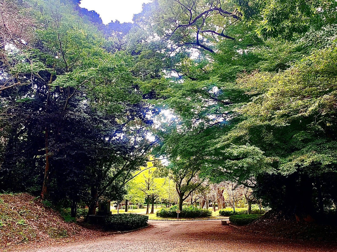 Toyohashi Park景点图片