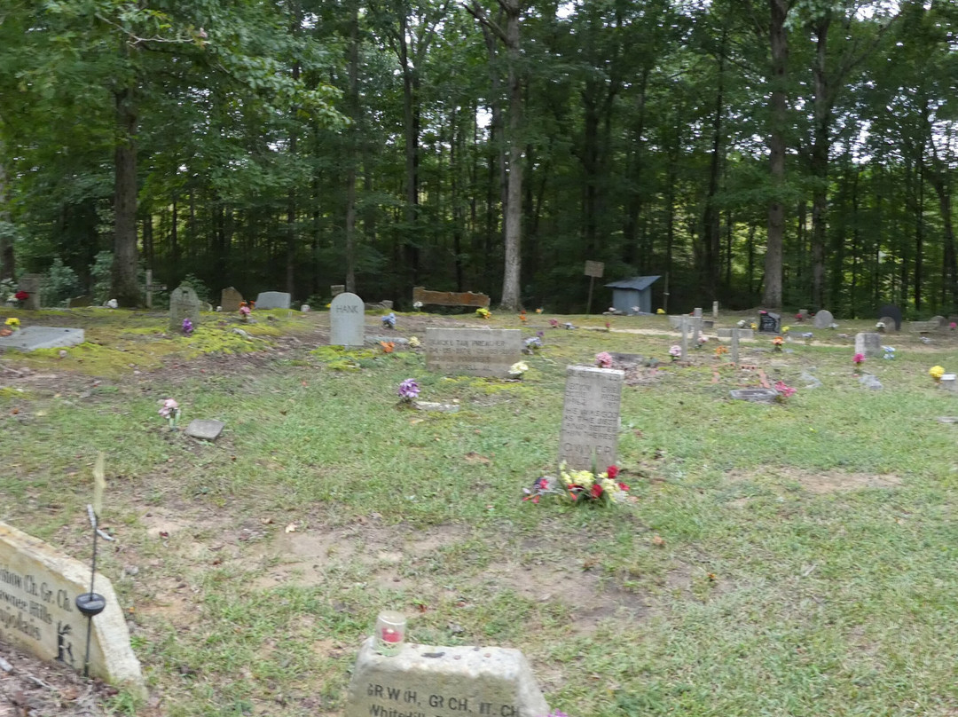 Coon Dog Cemetery-Cherokee必去景点
