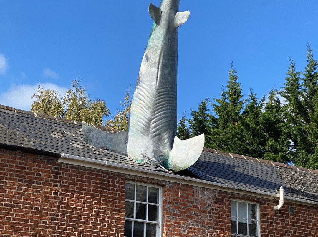 Headington Shark景点图片