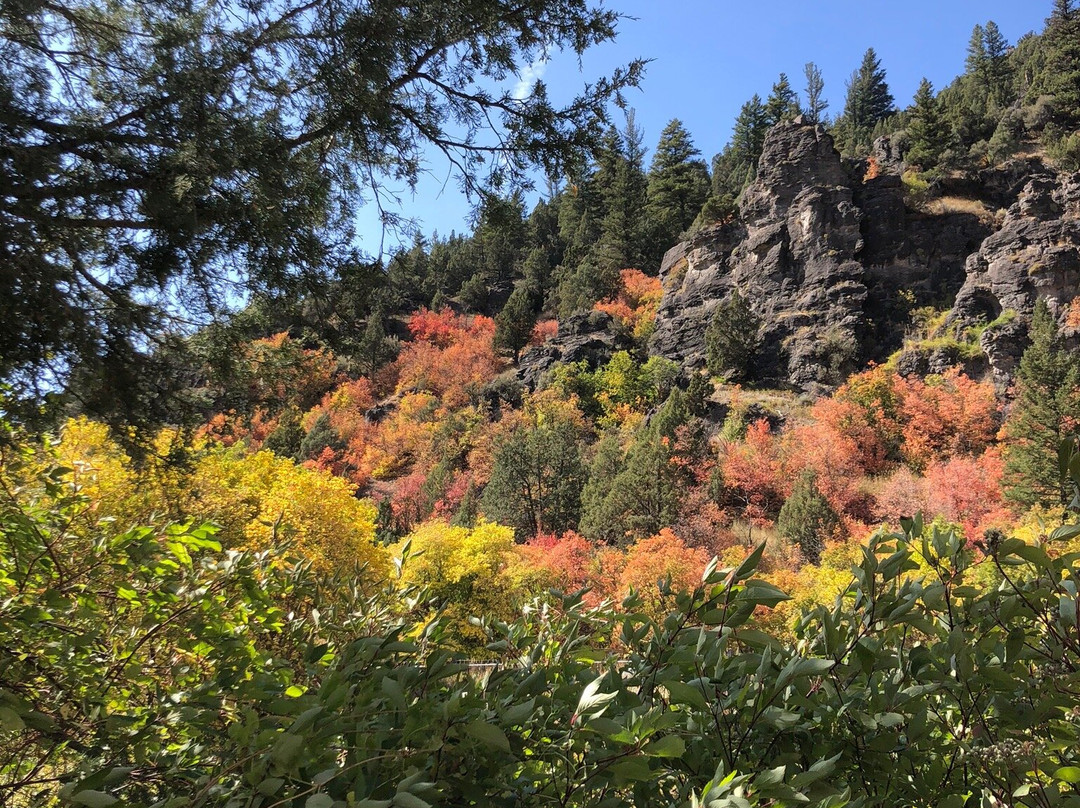 Logan Canyon Scenic Drive-洛根必去景点