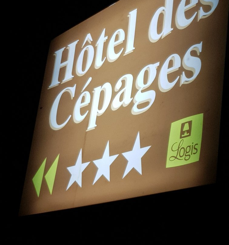 Logis Hôtel des Cépages主图