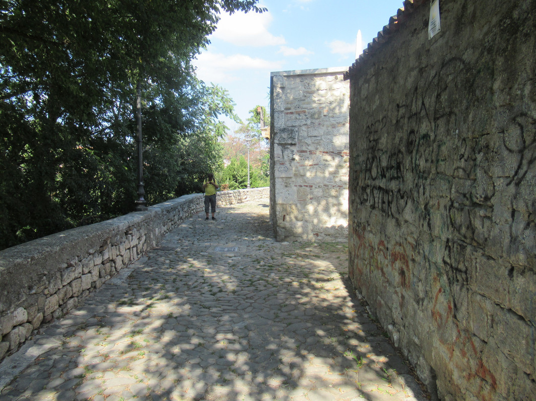 Via delle Stelle景点图片
