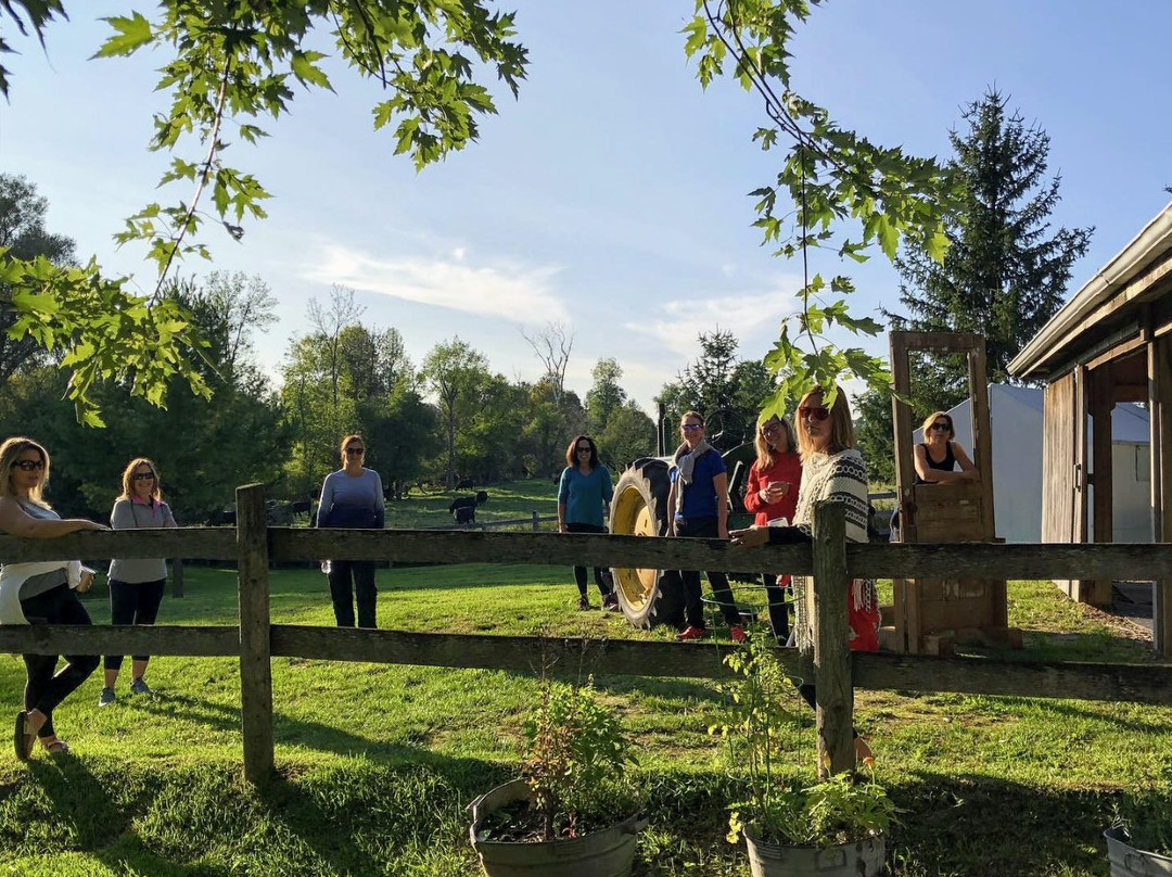 C.K. Maggs Adventures-伊劳拉必去景点