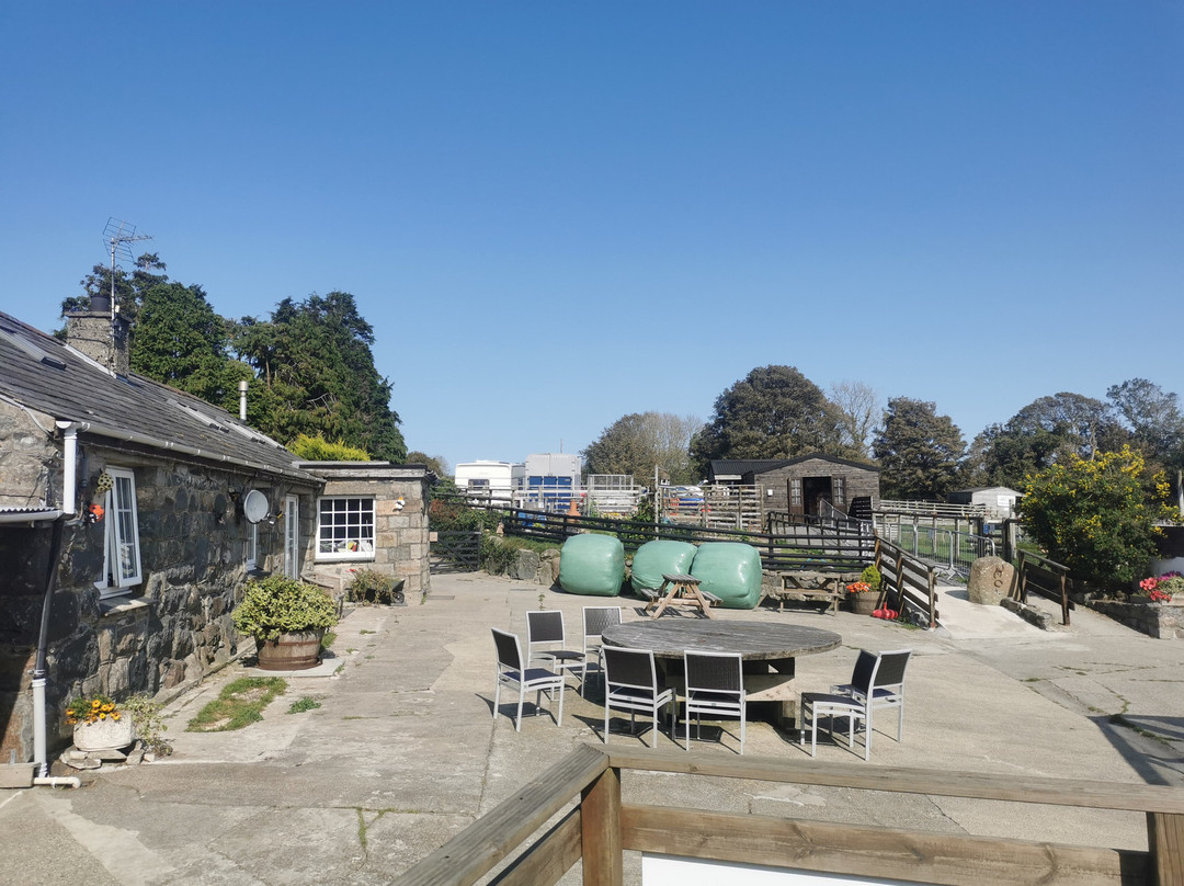 Dwyfor Ranch Rabbit Farm and Animal Park-Llanystumdwy必去景点