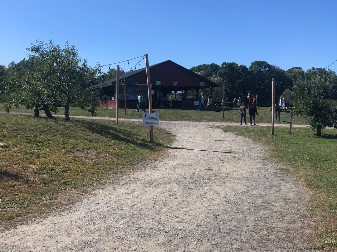 Twin Star Orchards-新帕尔茨必去景点