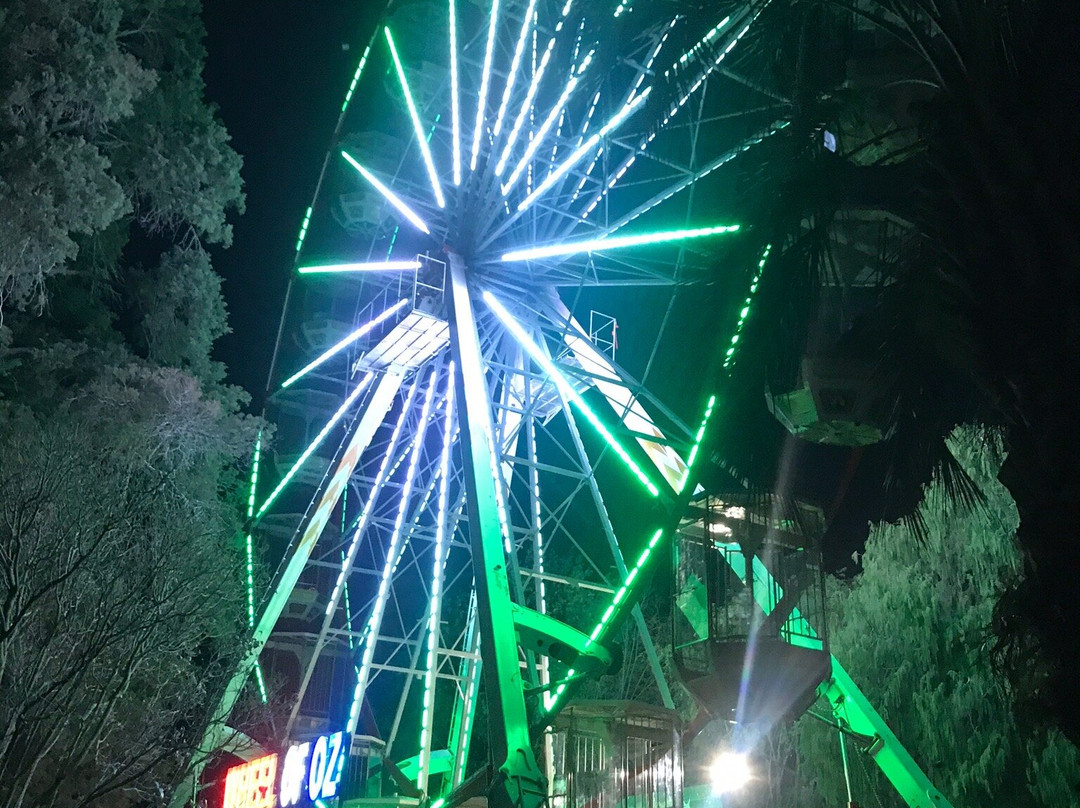 Toowoomba Carnival of Flowers景点图片
