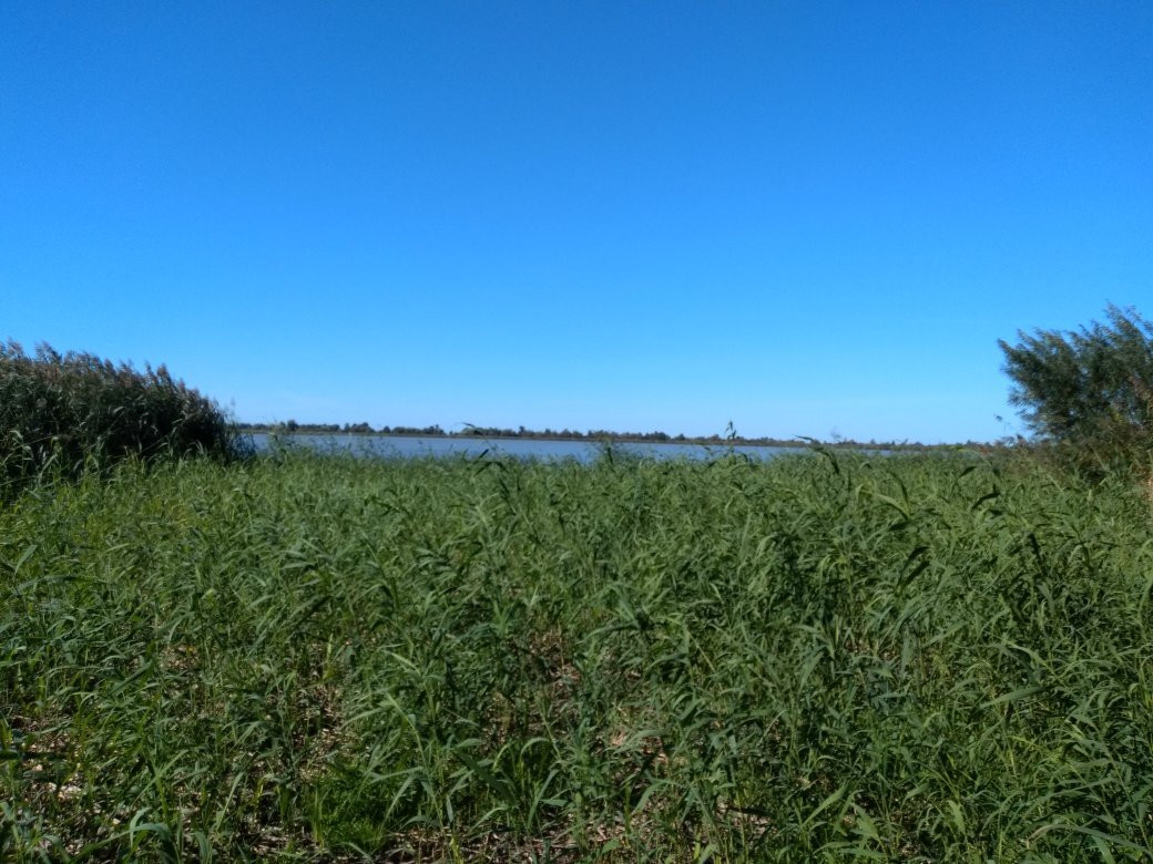 Oostvaardersplassen-阿尔梅勒必去景点