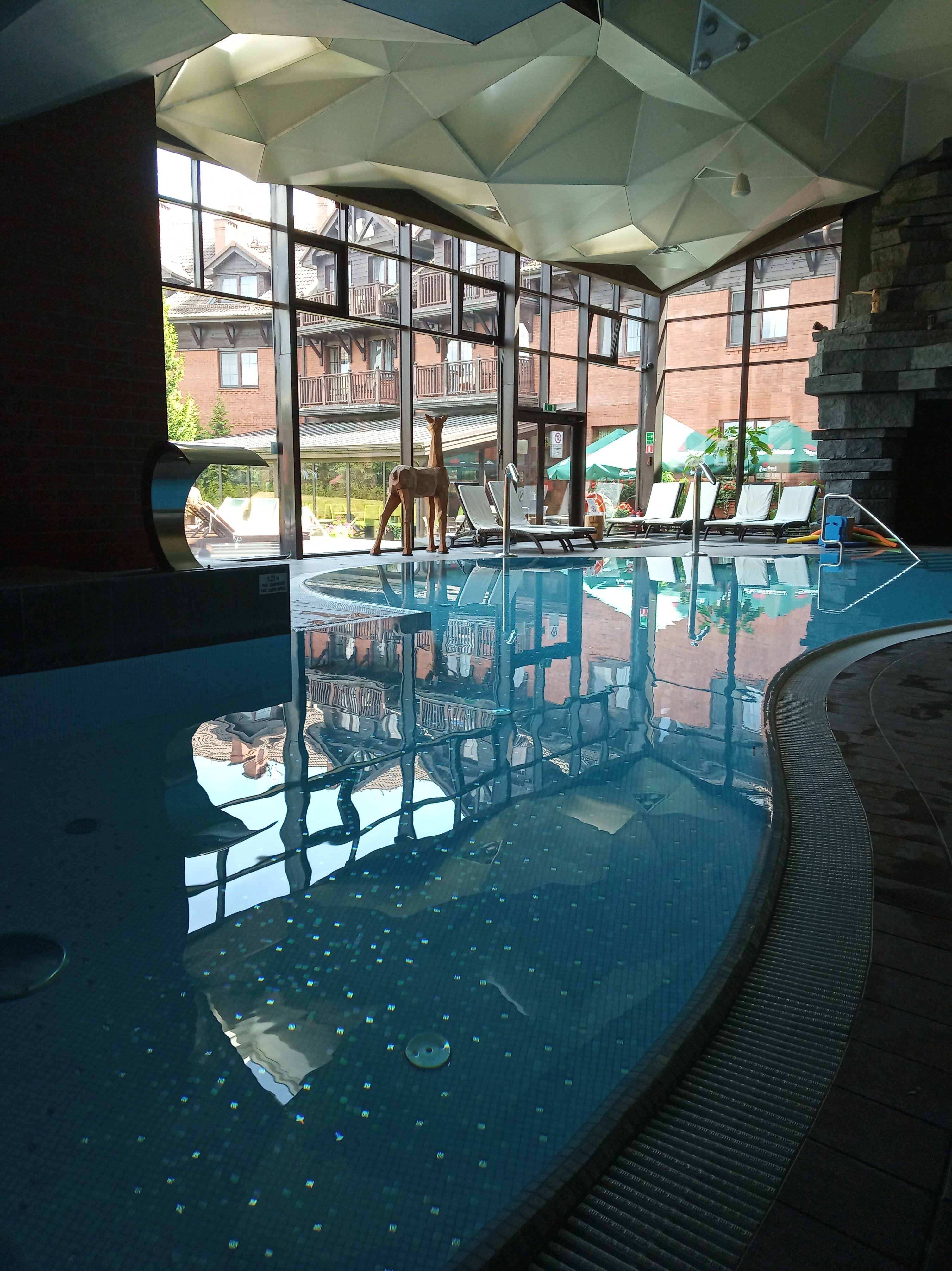 Hotel Zubrowka-泳池