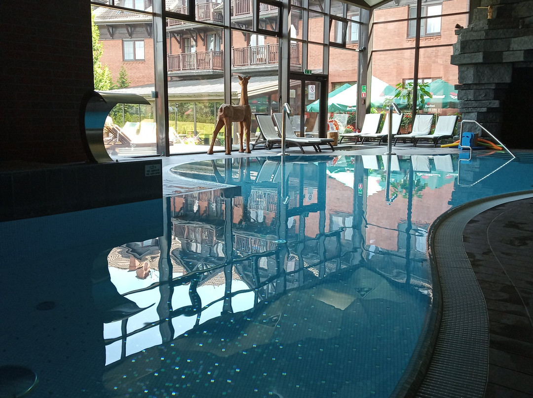 Hotel Zubrowka主图