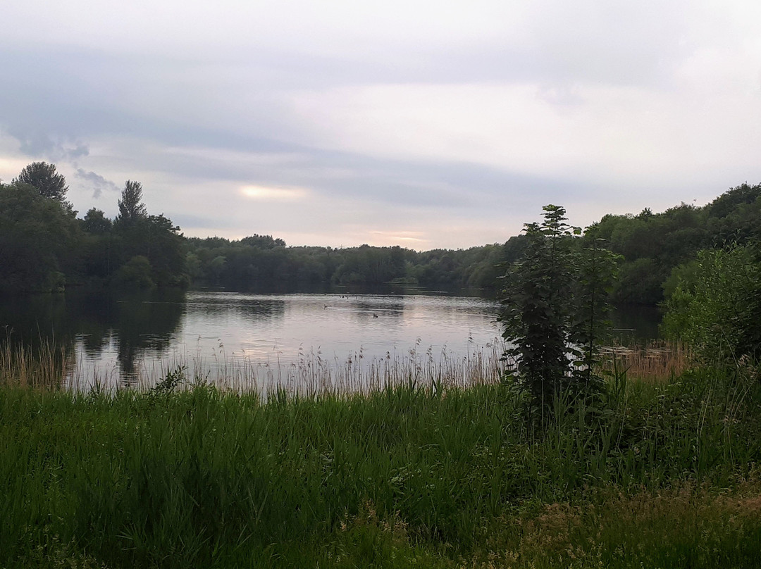 Chorlton Water Park-曼彻斯特必去景点