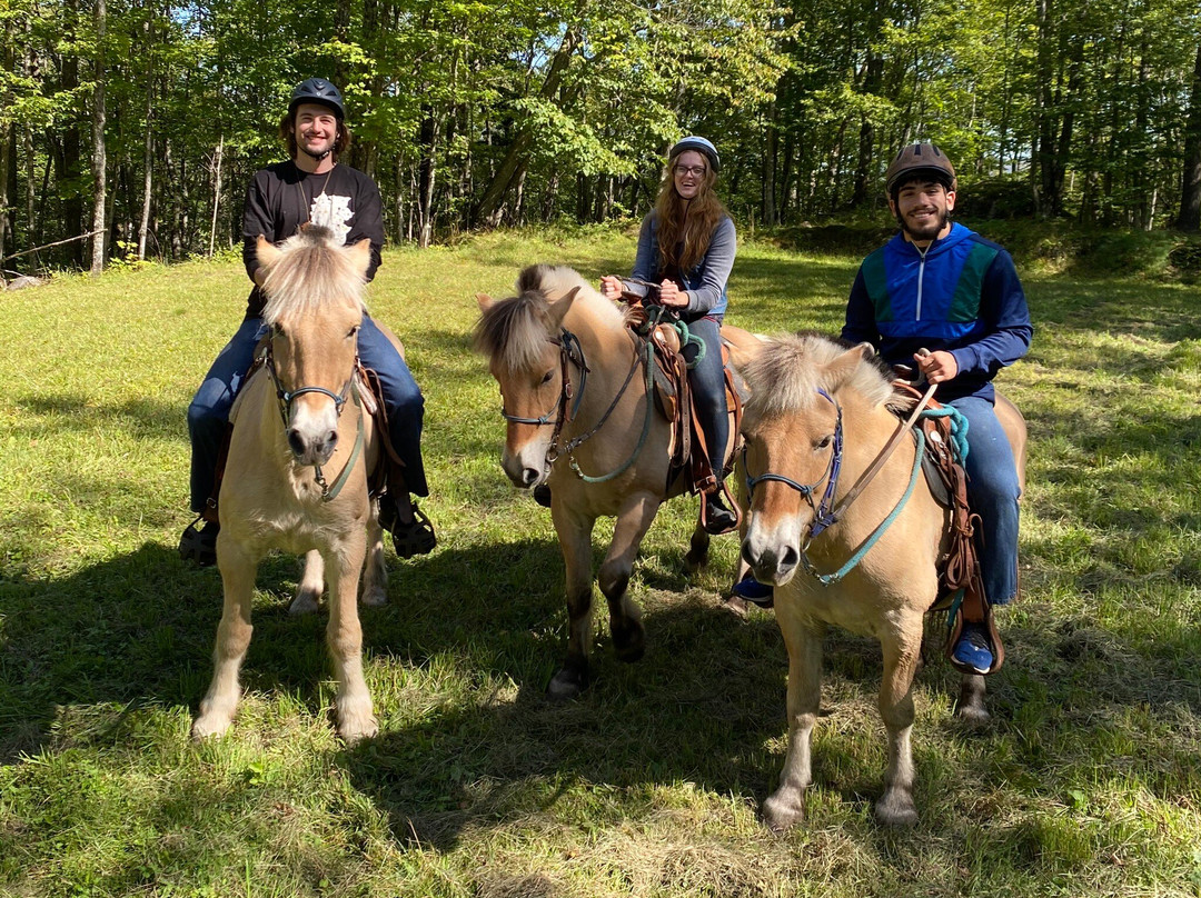 Sleighman-Ishpeming必去景点