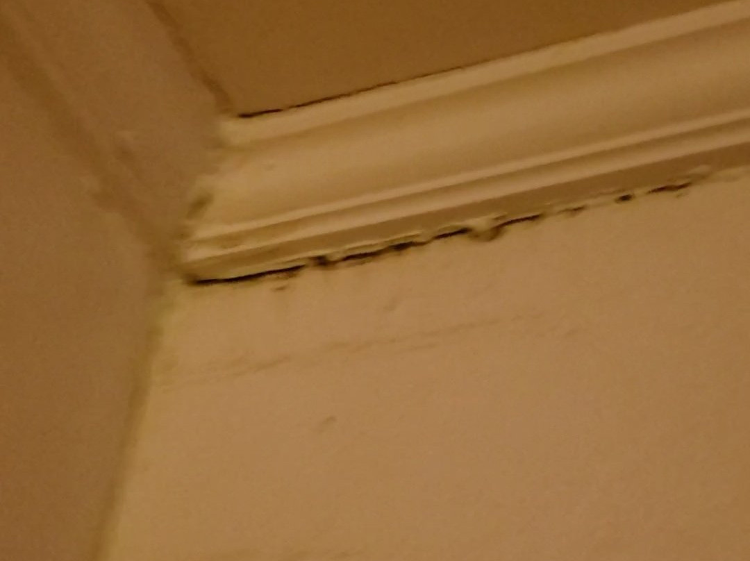 Emerald Inn Blythe主图