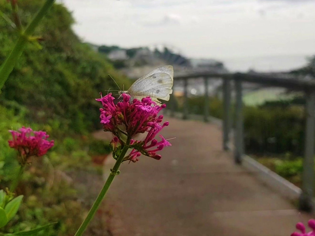 The Royal Terrace Gardens (Rock Walk)-托基必去景点