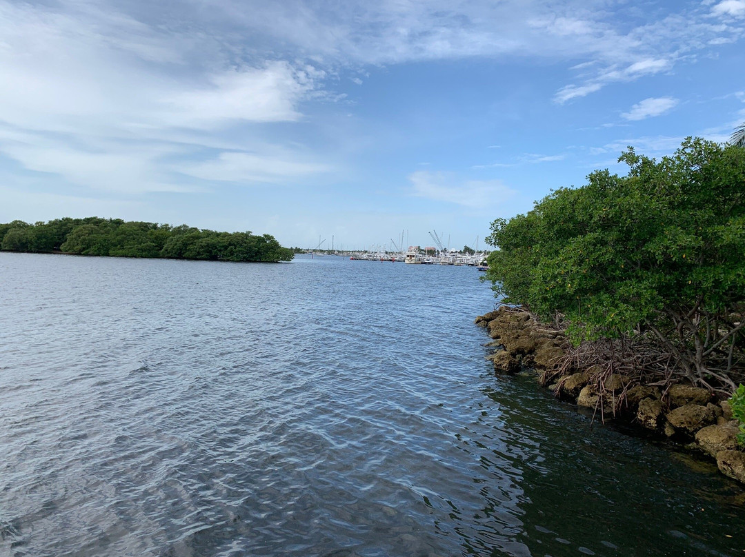 肯尼迪公园-迈阿密必去景点