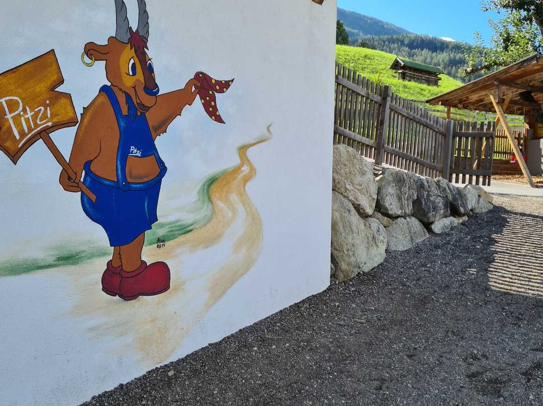 Pitzis Kinderhotel - Family Only主图