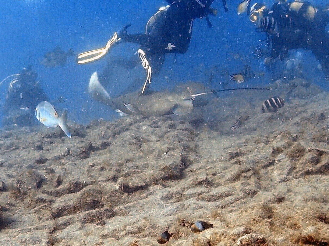 Buceo Tenerife-拉斯加勒塔斯必去景点