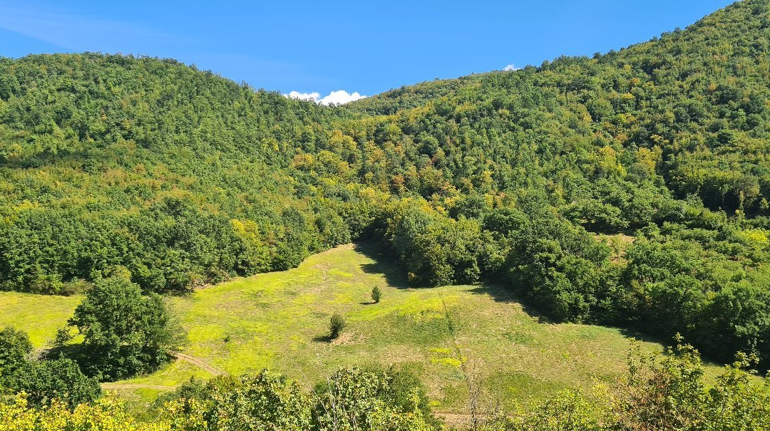 Agriturismo Pompagnano主图