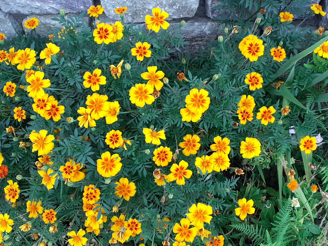 Ilaeira Mountain Resort主图