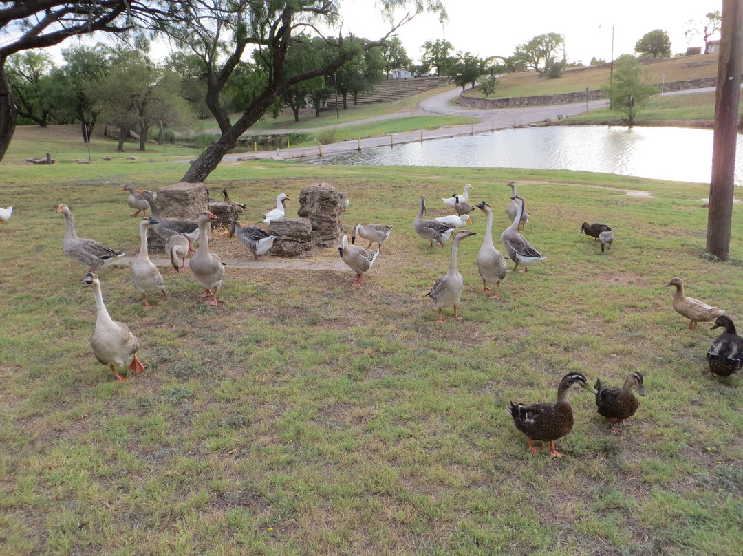 Ruddick Park景点图片