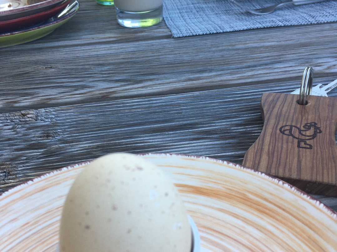 Il Gallo Con Gli Stivali主图