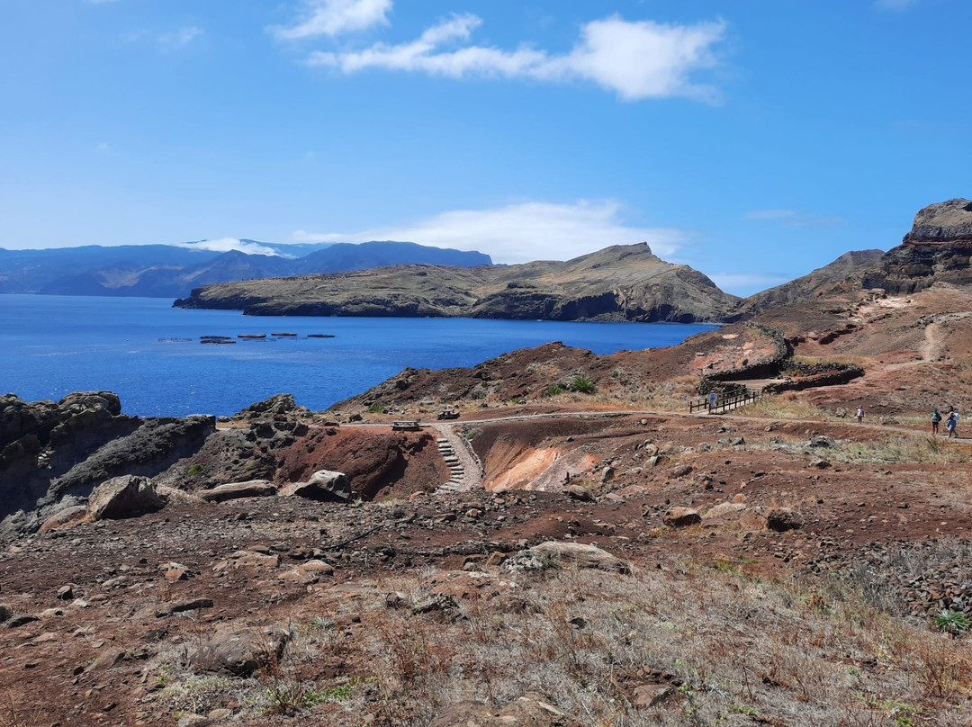Madeira Sea Emotions Boat Tours景点图片