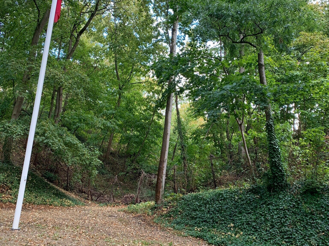 Le Mont-Valérien French Memorial to Resistance Martyrs景点图片