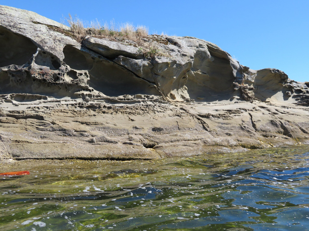Sealegs Kayaking & Marine Adventures景点图片