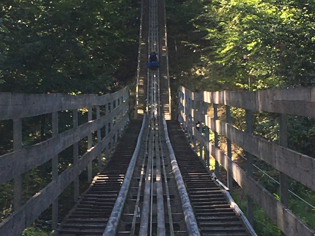 Allwetter-Rodelbahn - Triolago Freizeitsee景点图片